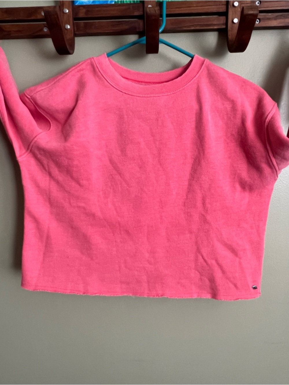 American Eagle Bright Pink Cropped Sweatshirt